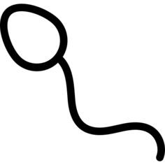 Spermatozoon