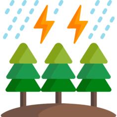 Storm