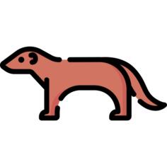 Mongoose