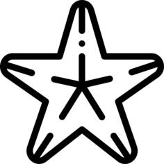 海星