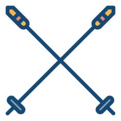 Ski poles