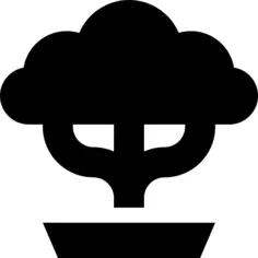 Bonsai