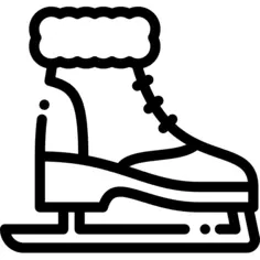 Ice skate