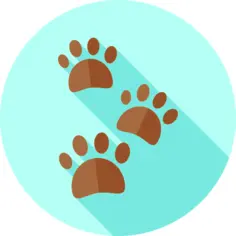 Pawprints
