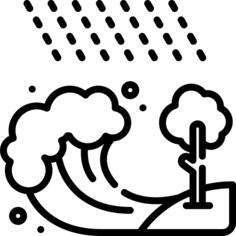 Tsunami