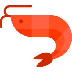 Shrimp