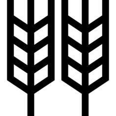 小麦