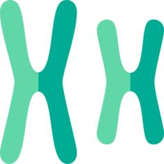 Chromosome