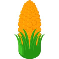 Corn