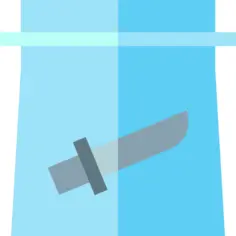 证据