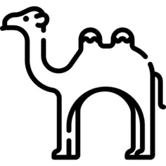Camel