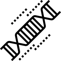 Dna