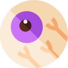 Eye
