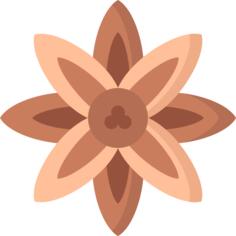 Anise