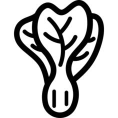 Bok choy