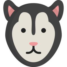 Siberian husky