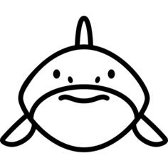 Shark