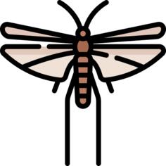 刺槐
