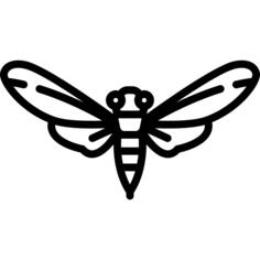 Bug