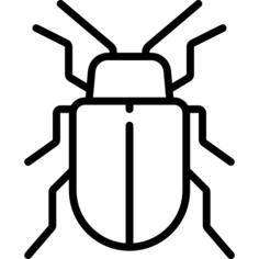 Bug