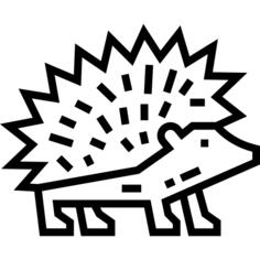 猬