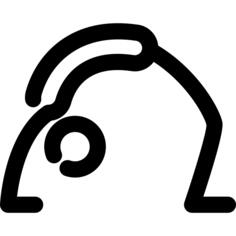 桥