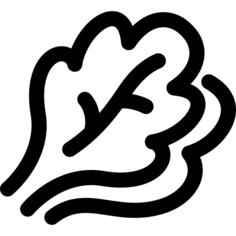 沙拉