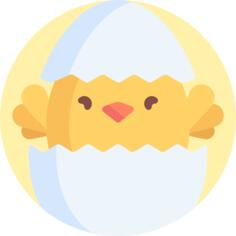 小鸡