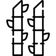 Bamboo