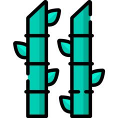 Bamboo
