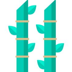 Bamboo