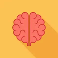 Human brain
