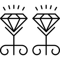 Earrings