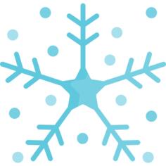 雪花