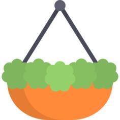 Pot