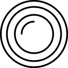Lens