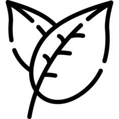 Leaf