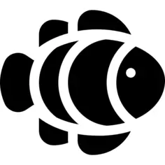 Clown fish