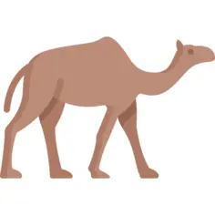 骆驼