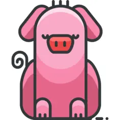 Pig