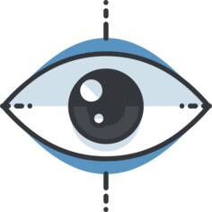 Vision