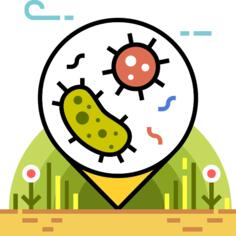 微生物
