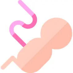 Fetus