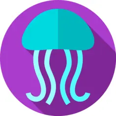 Jellyfish