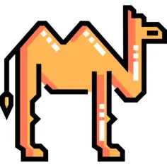 Camel