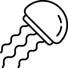 Jellyfish