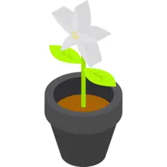 花