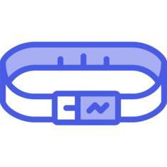 Smart belt