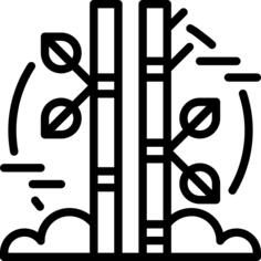 Bamboo