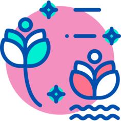 莲花